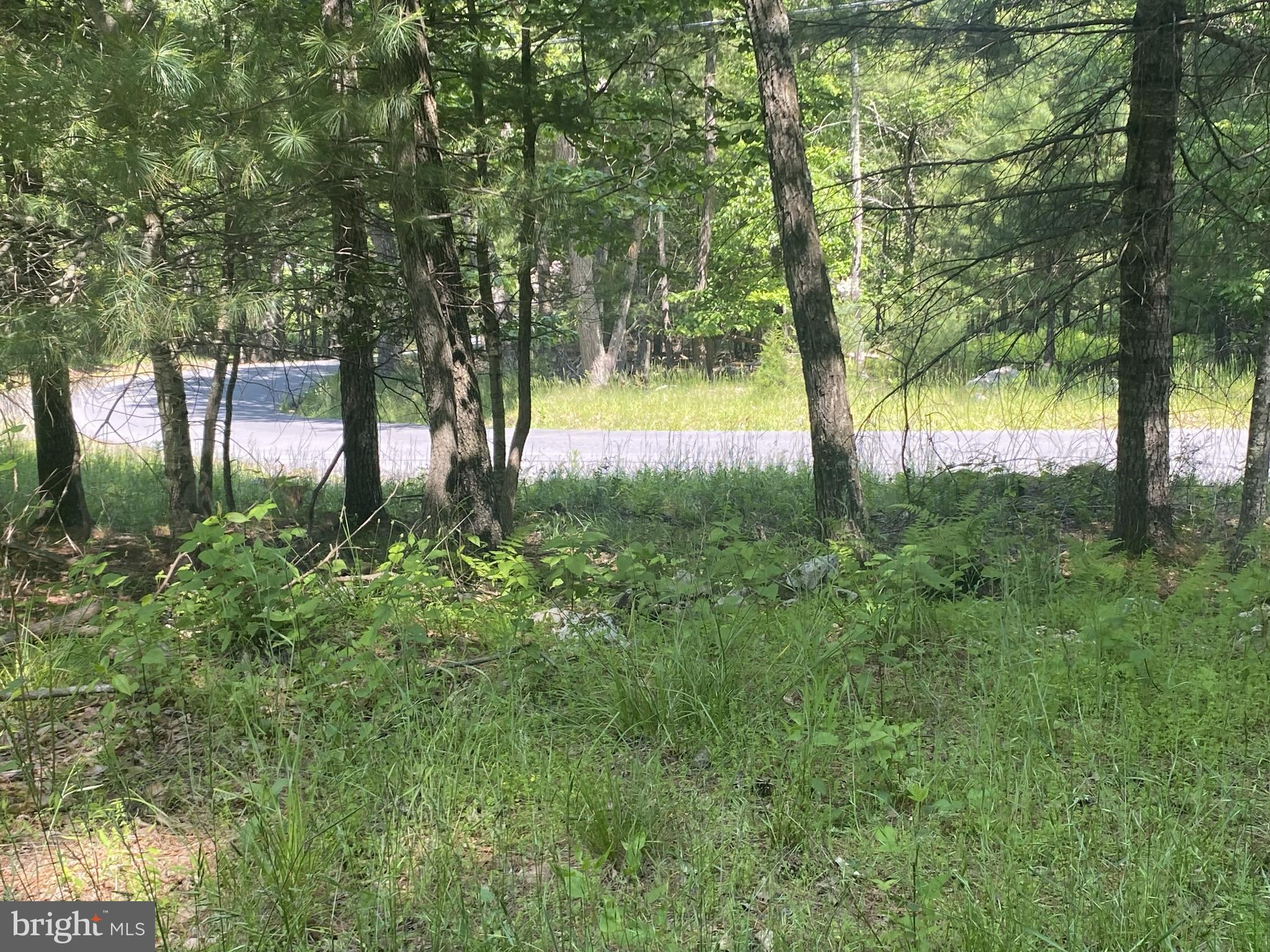23 Dry Run Road Franklin, WV 26807 - Photo 2 of 6 a view of swimming pool from a garden