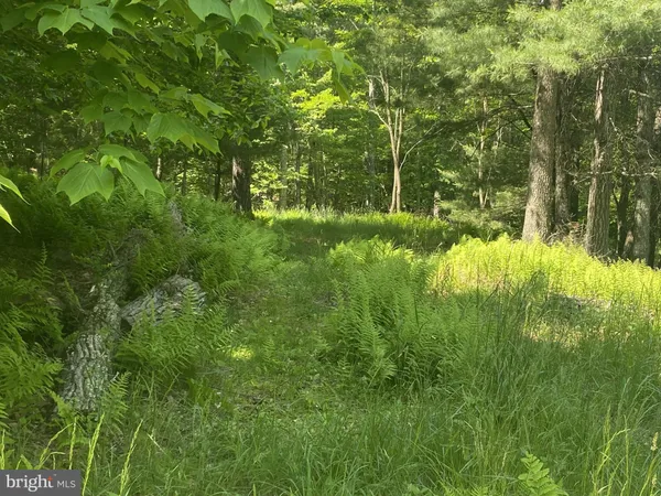 a view of a green field with lots of bushes