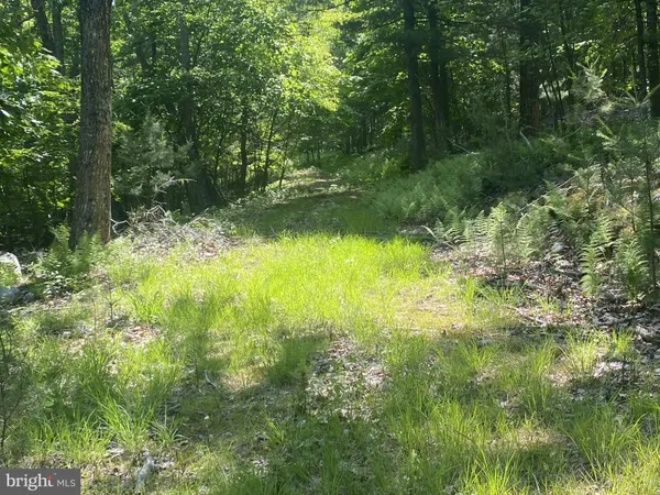 a view of lake background with green space