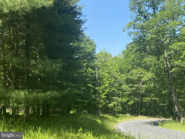 a view of a lush green space