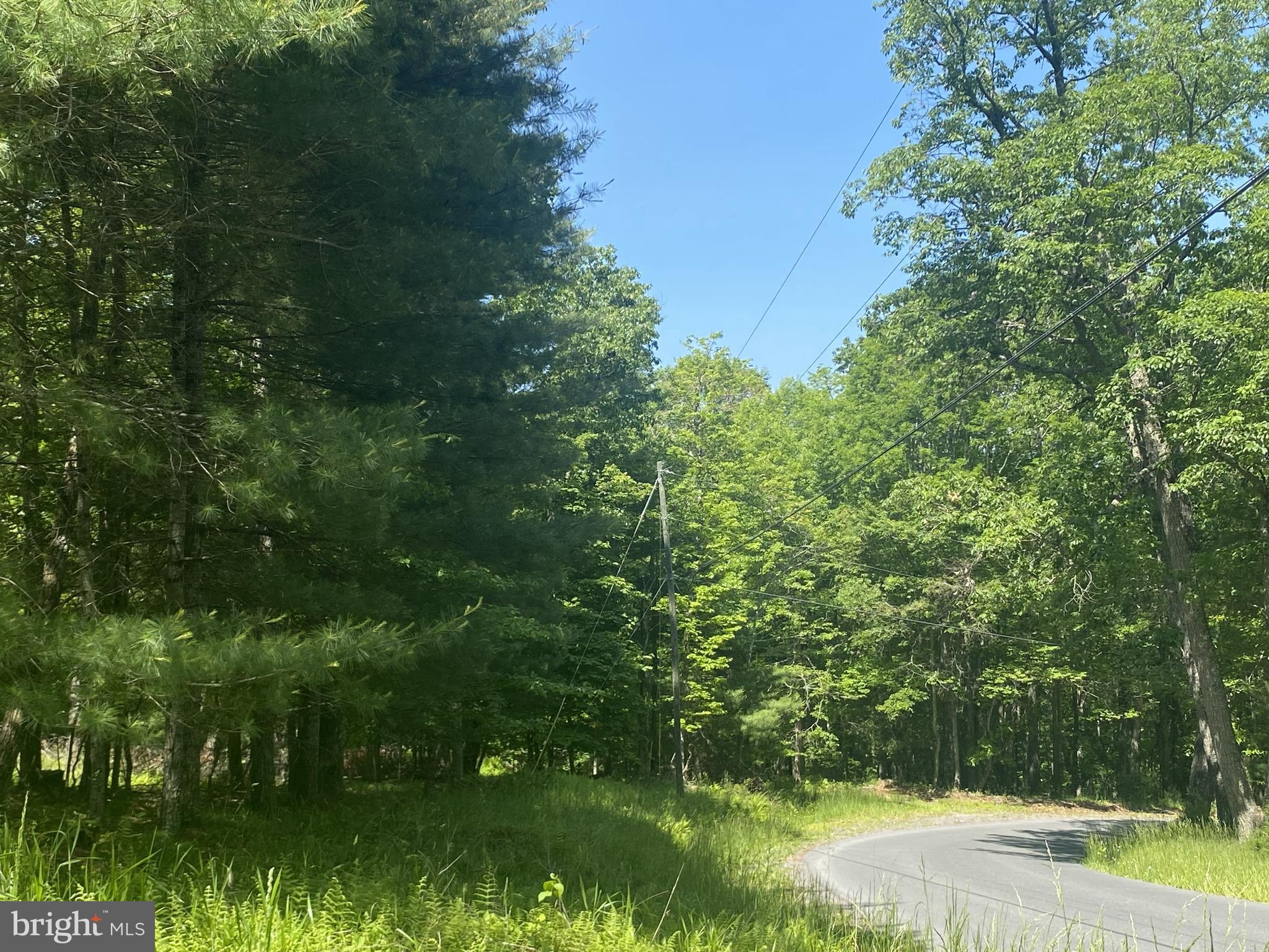 23 Dry Run Road Franklin, WV 26807 - Photo 5 of 6 a view of a lush green space