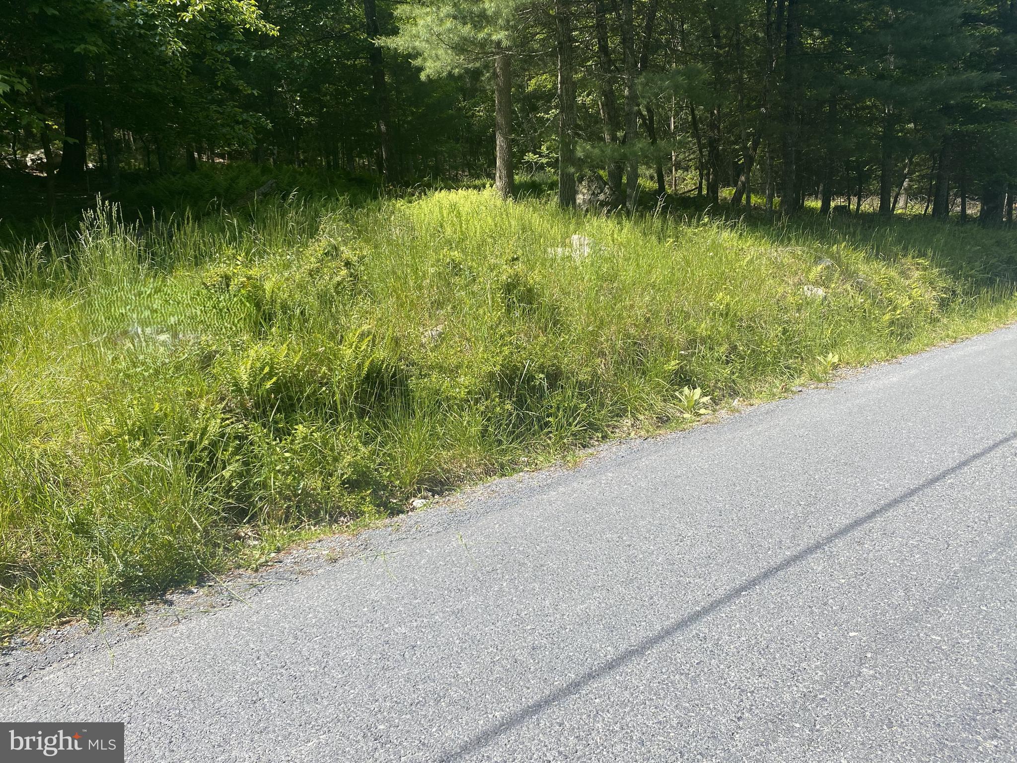 23 Dry Run Road Franklin, WV 26807 - Photo 6 of 6 a view of a garden