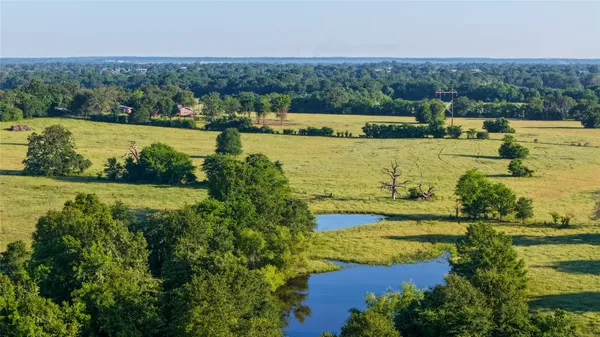 an aerial view of green landscape with trees houses and lake view