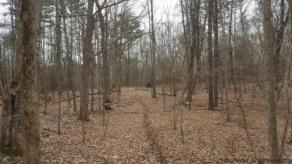 Tbd Hidden Valley Road Kingston, NY 12401 - Photo 3 of 9 a view of outdoor space with lots of trees