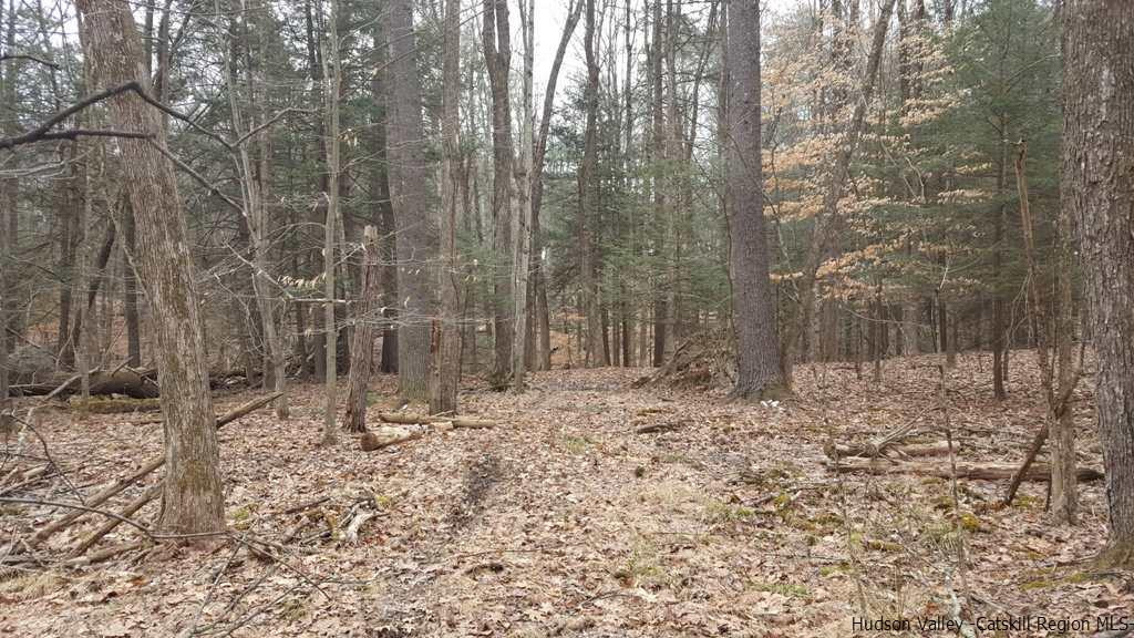 Tbd Hidden Valley Road Kingston, NY 12401 - Photo 6 of 9 a view of a yard with trees