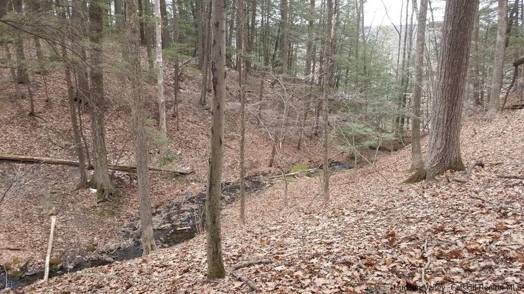 Tbd Hidden Valley Road Kingston, NY 12401 - Photo 7 of 9 a view of a forest filled with trees