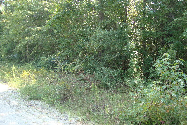 2 Rabun Drive Northeast Thomson, GA 30824 - Photo 4 of 11 Gallery Image 4