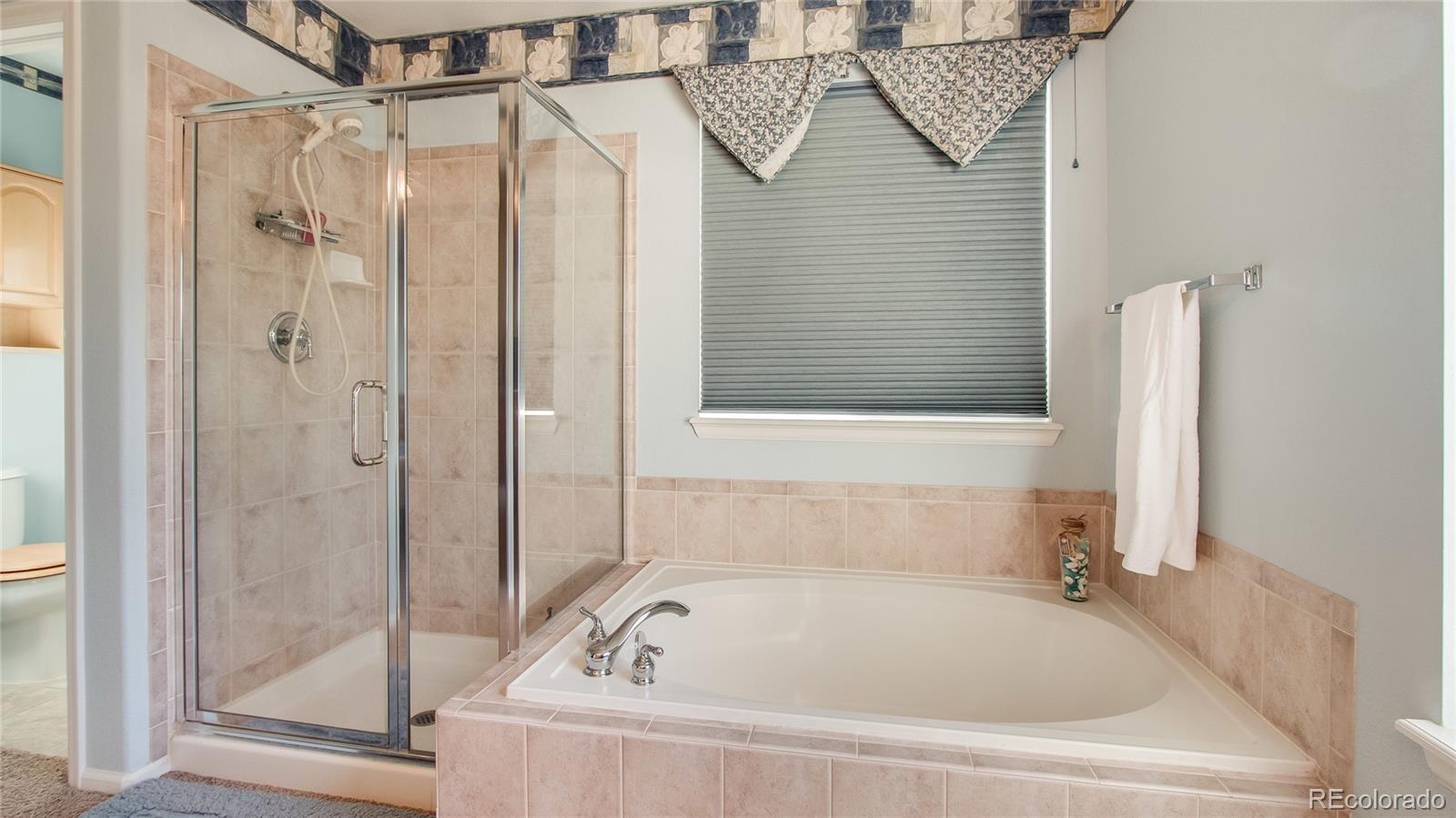 3180 Thistlebrook Circle Highlands Ranch, CO 80126 - Photo 19 of 30