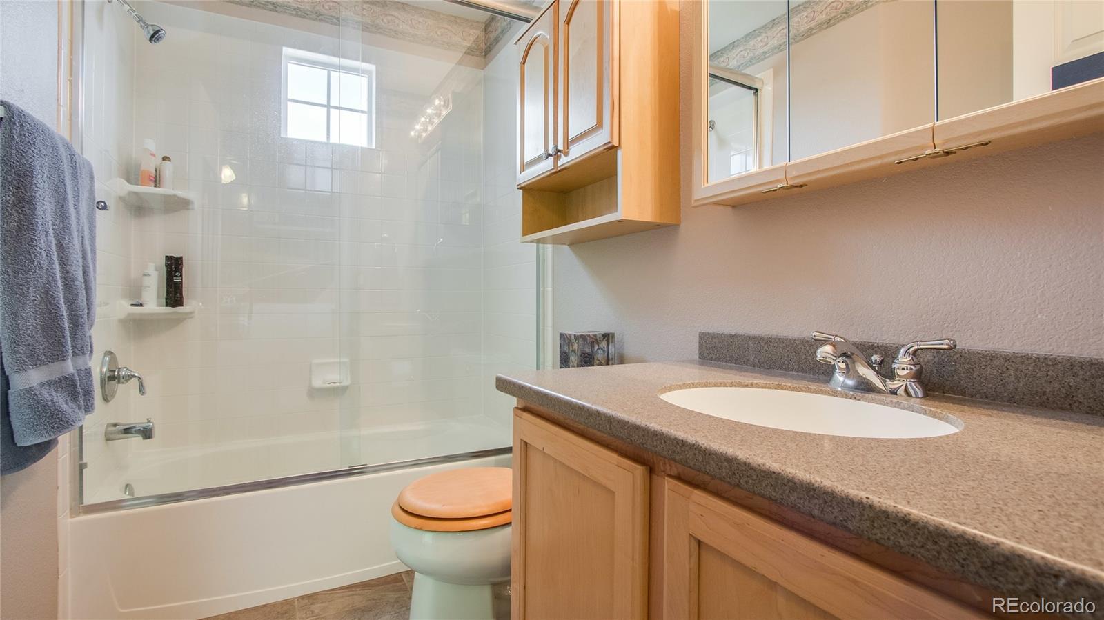 3180 Thistlebrook Circle Highlands Ranch, CO 80126 - Photo 21 of 30