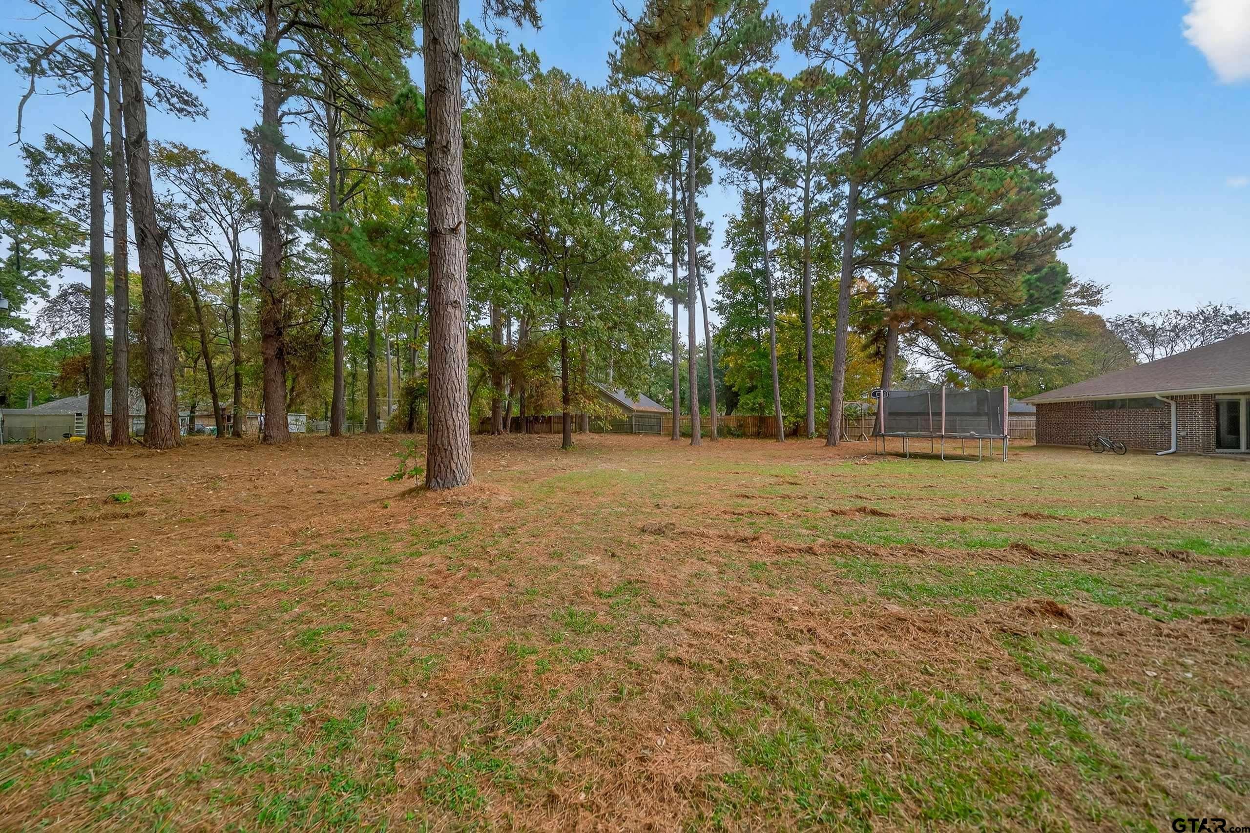 21112 Altuda Lane Flint, TX 75762 - Photo 40 of 48 a backyard of a house with lots of green space