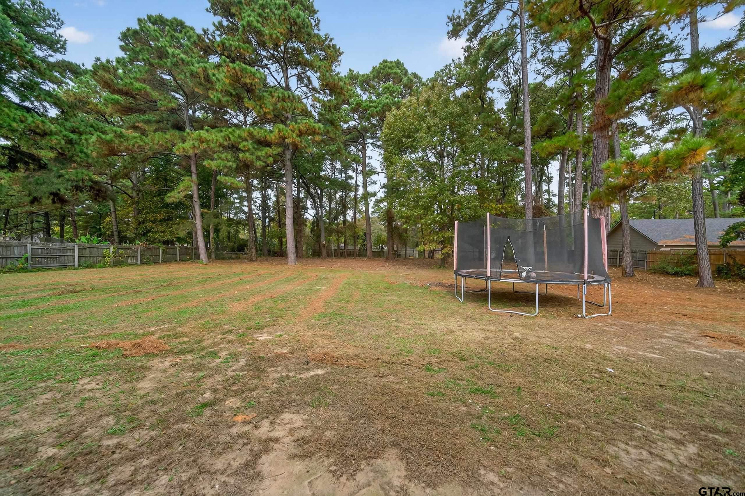 21112 Altuda Lane Flint, TX 75762 - Photo 41 of 48 a view of a field with a trees