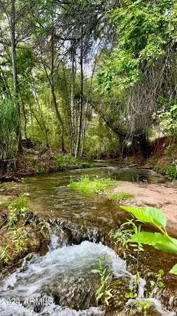 a view of a garden with a lake