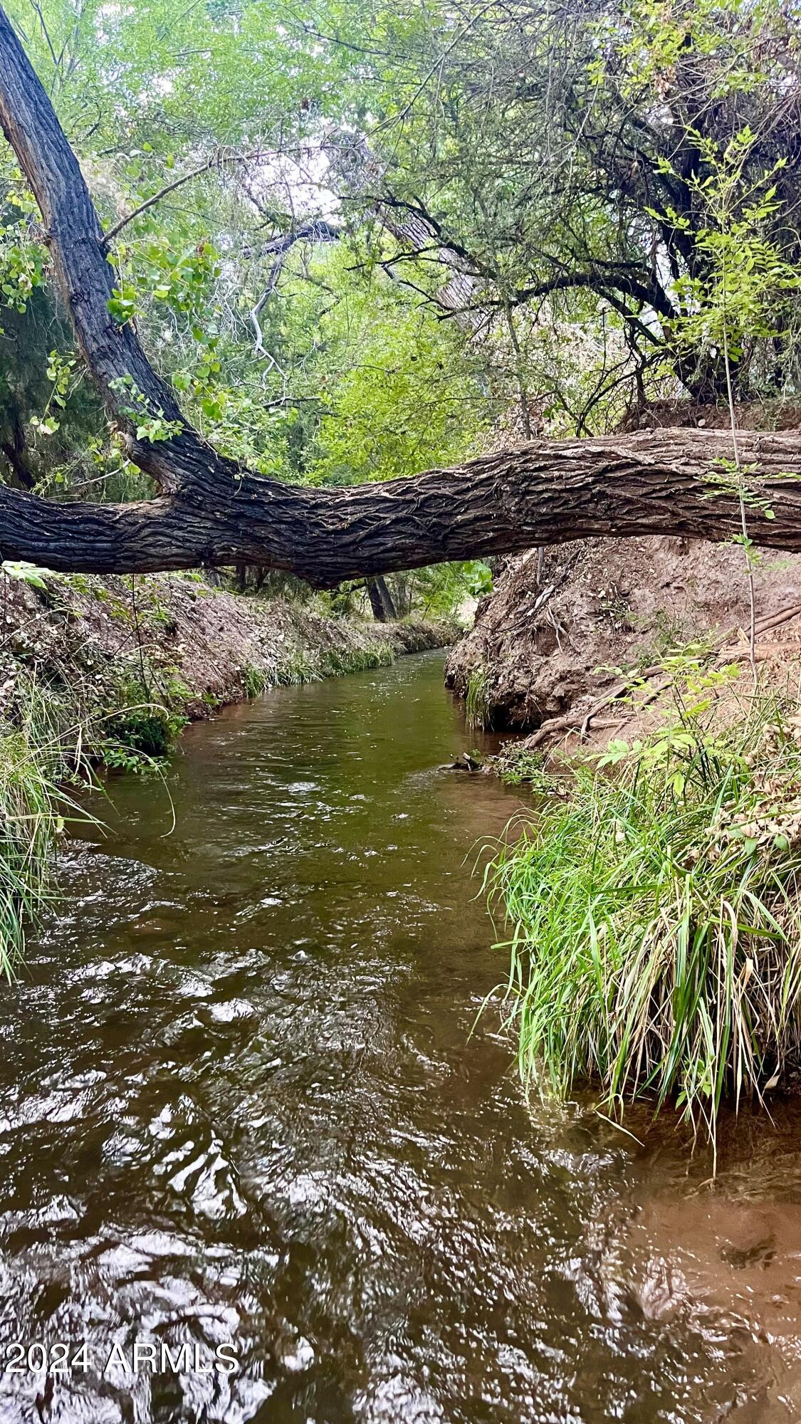 12-xx North Page Springs Road Cornville, AZ 86325 - Photo 6 of 11 a view of a garden with a lake