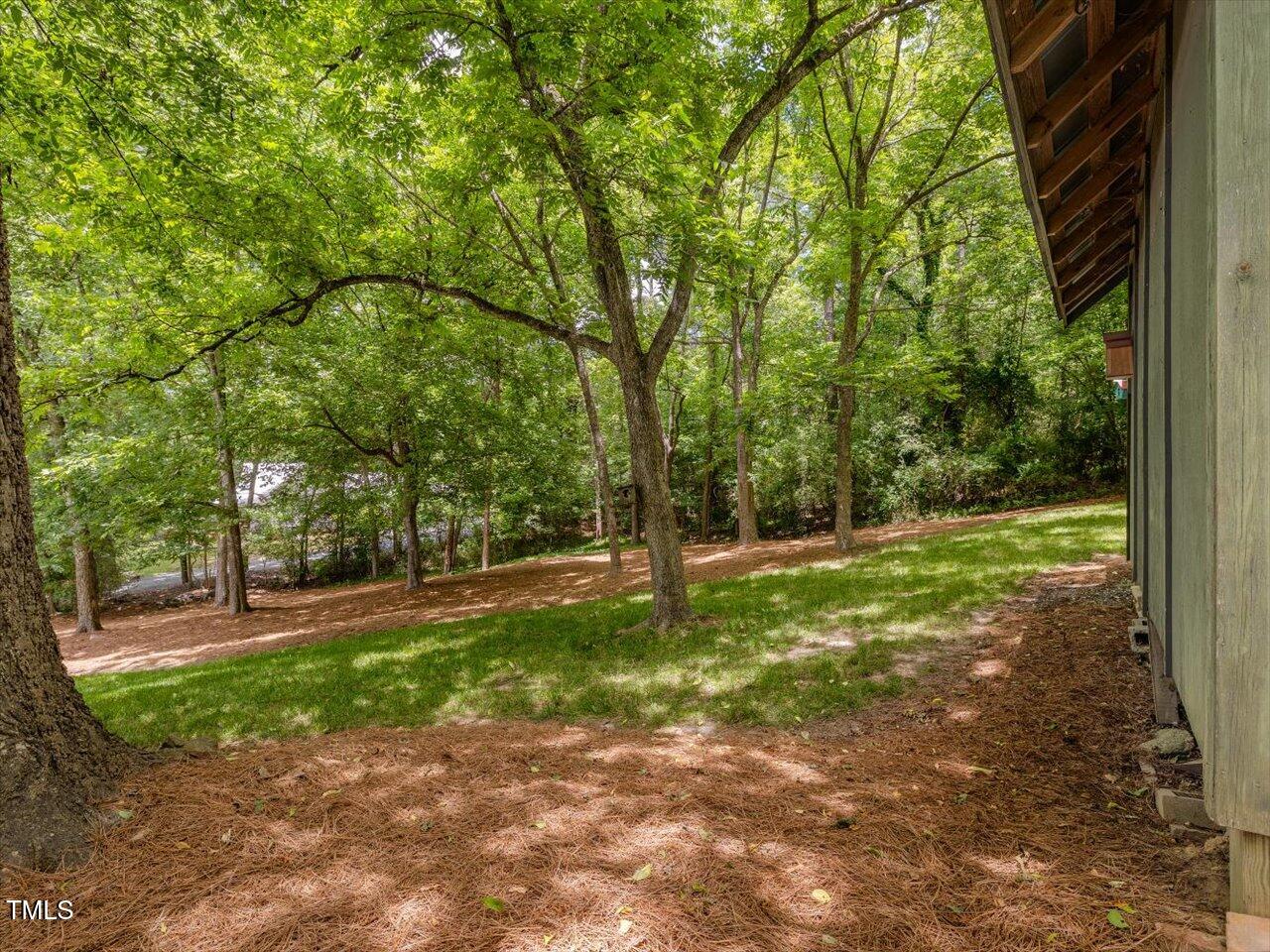 967 Bynum Road Pittsboro, NC 27312 - Photo 95 of 100 a view of a yard with plants and large trees