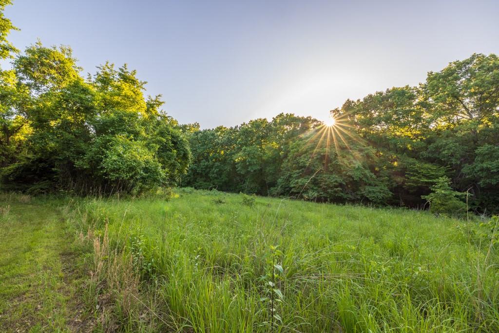 521 Southwest 301st Road Warrensburg, MO 64093 - Photo 56 of 80
