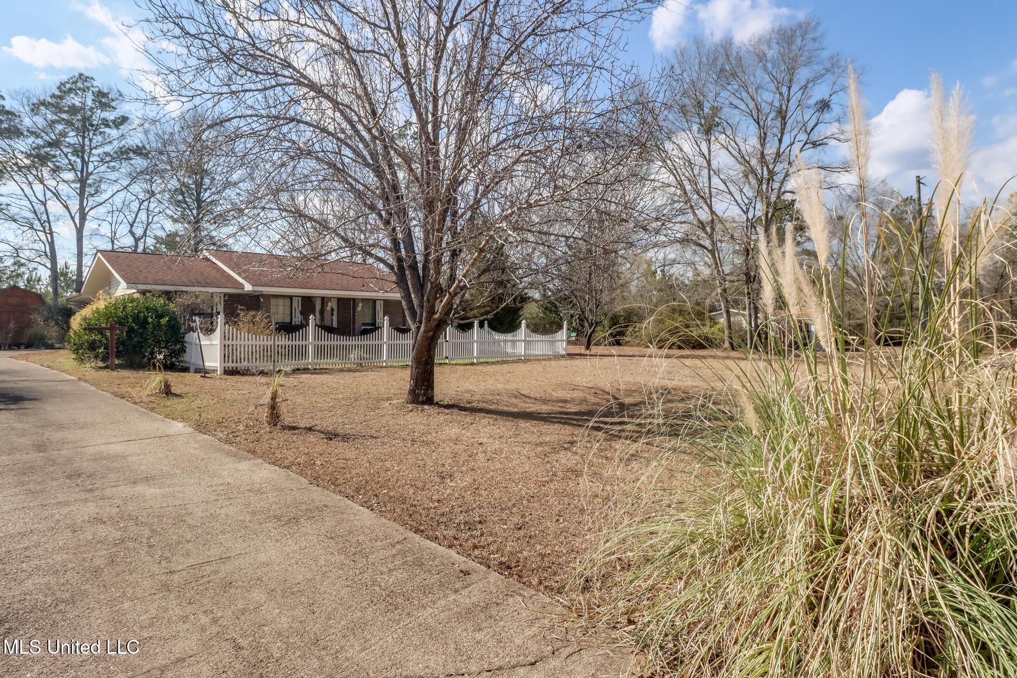 123 Carl Taylor Road Wiggins, MS 39577 - Photo 2 of 17 Driveway