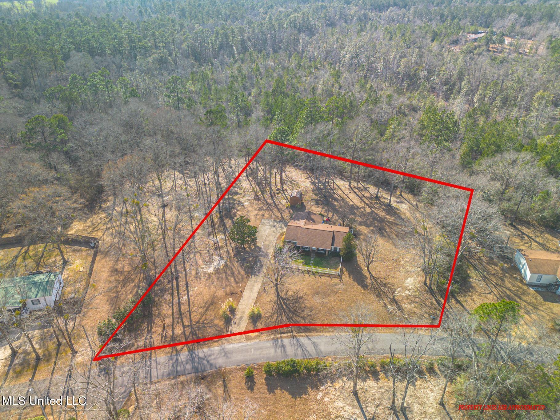 123 Carl Taylor Road Wiggins, MS 39577 - Photo 3 of 17 Aerial-1Acre