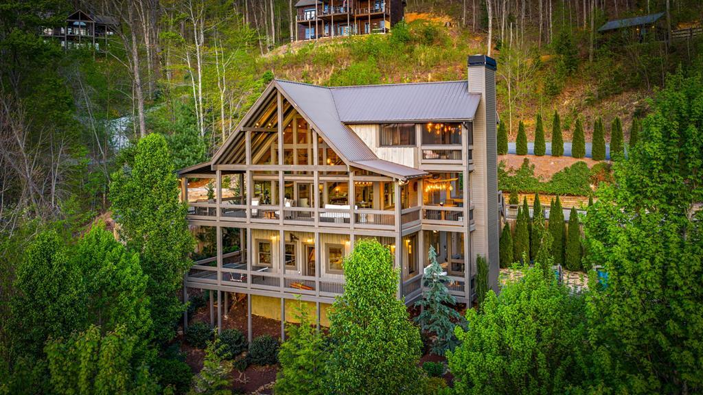 a aerial view of a house with a yard and potted plants