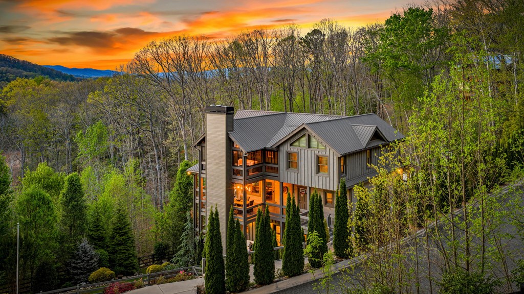 239 Covered Bridge Lane Cherry Log, GA 30522 - Photo 2 of 50 a view of a house with a yard