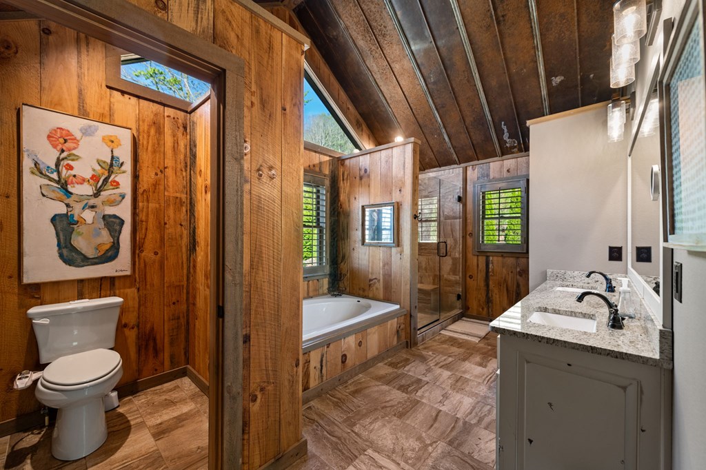 239 Covered Bridge Lane Cherry Log, GA 30522 - Photo 29 of 50 a bathroom with a sink a toilet and shower