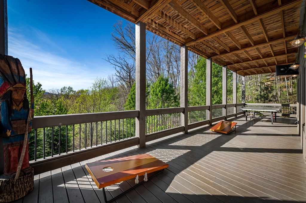 239 Covered Bridge Lane Cherry Log, GA 30522 - Photo 41 of 50