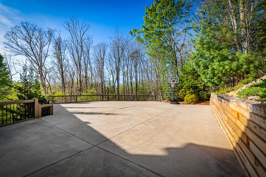 239 Covered Bridge Lane Cherry Log, GA 30522 - Photo 42 of 50 a view of backyard space