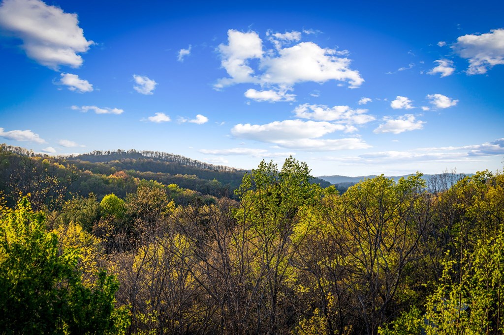 239 Covered Bridge Lane Cherry Log, GA 30522 - Photo 47 of 50 a view of a city with lots of bushes