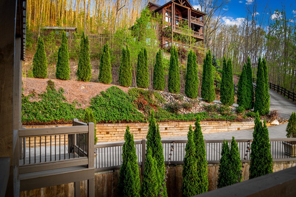 239 Covered Bridge Lane Cherry Log, GA 30522 - Photo 48 of 50 a view of a balcony