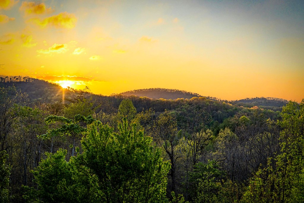 239 Covered Bridge Lane Cherry Log, GA 30522 - Photo 9 of 50 a view of a mountain range with lush green forest