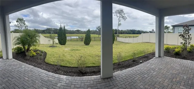 a view of a garden from a windows