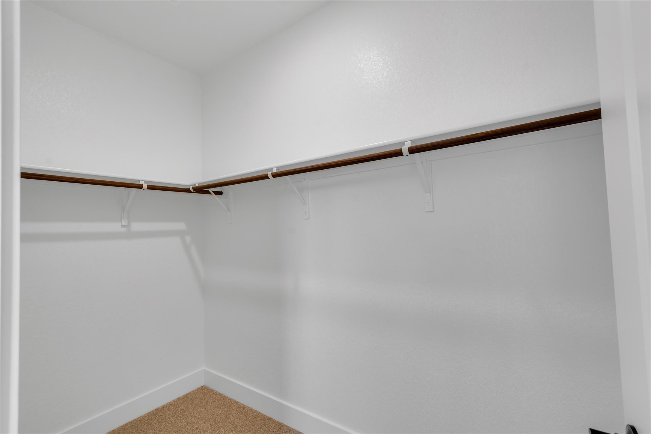 368 Bridge Deck Loop Kyle, TX 78640 - Photo 30 of 40 Walk in closet with light carpet