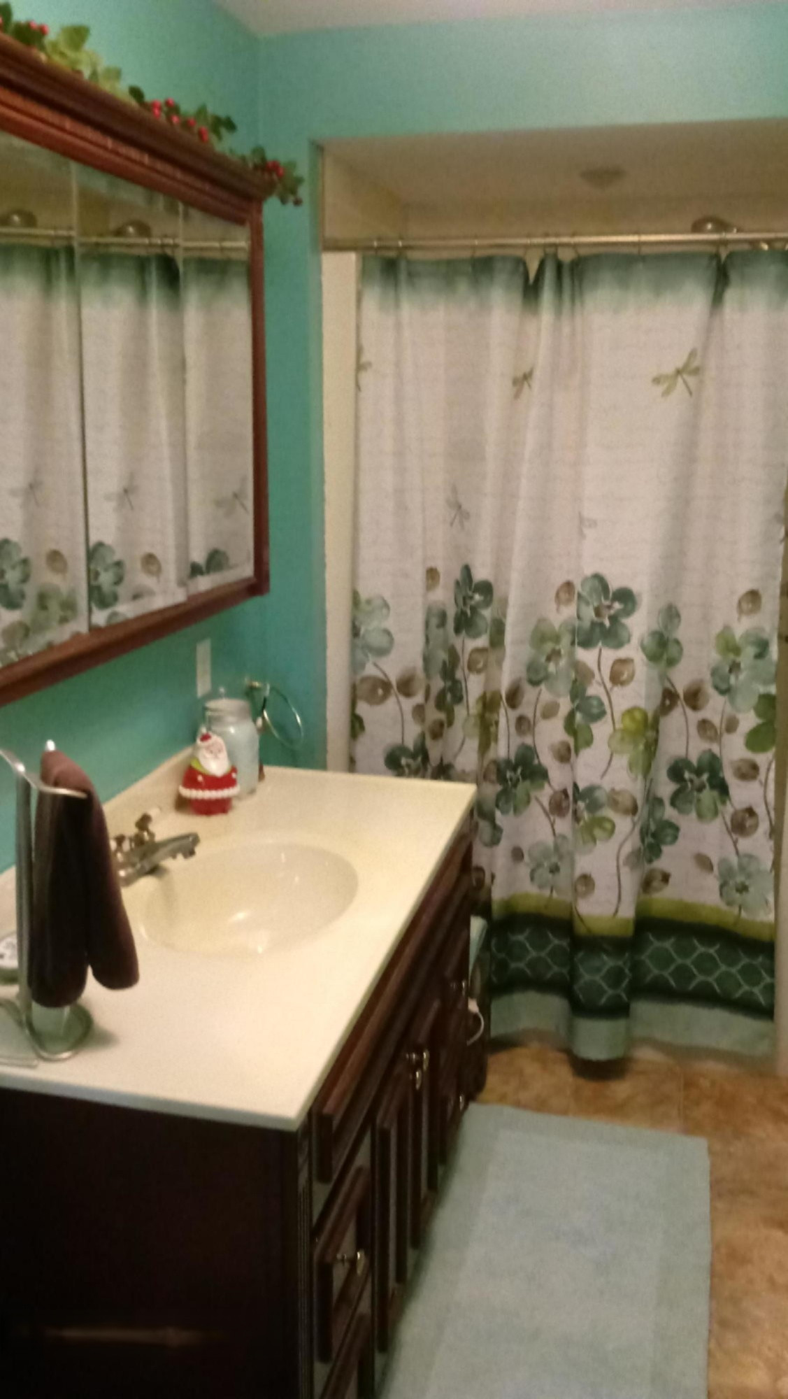 11751 Rainey Road Litchfield, MI 49252 - Photo 21 of 55 20201223_115550