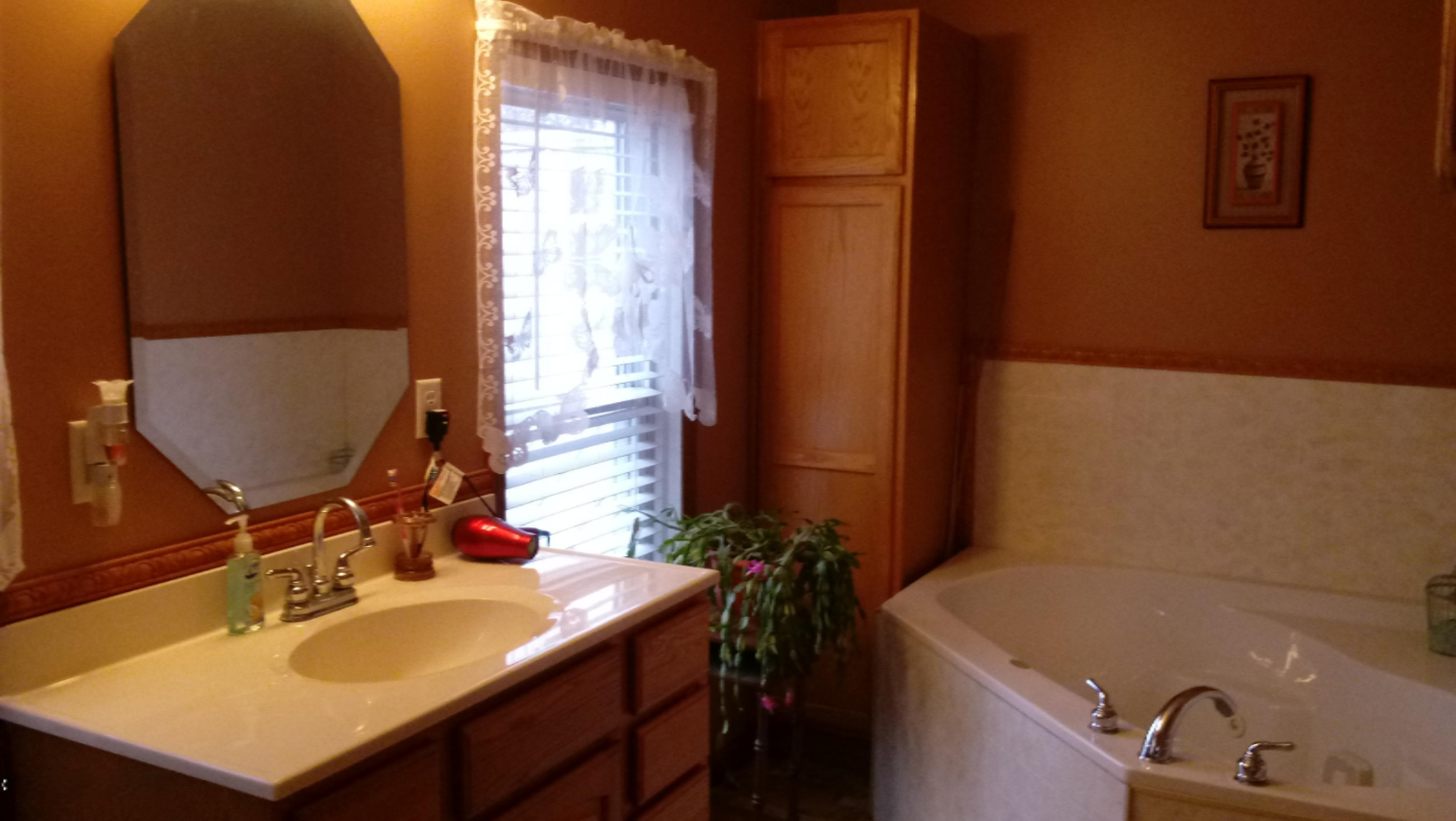 11751 Rainey Road Litchfield, MI 49252 - Photo 27 of 55 20201220_120413