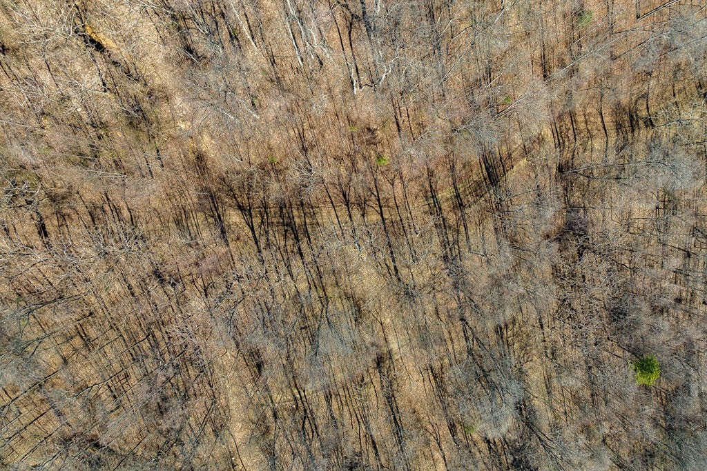 Lot 93 Reflections Point Trail, Unit 93 Fancy Gap, VA 24328 - Photo 38 of 92 Gallery Image 38