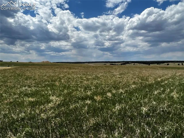 a view of an ocean and beach