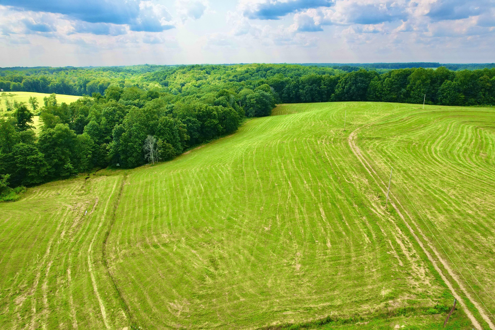 68 Bassham Road Five Points, TN 38457 - Photo 8 of 18 a view of a big yard with large trees