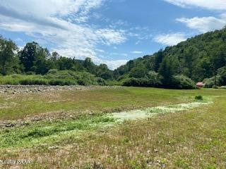 630 Winterdale Road Starlight, PA 18461 - Photo 29 of 31 backyard view