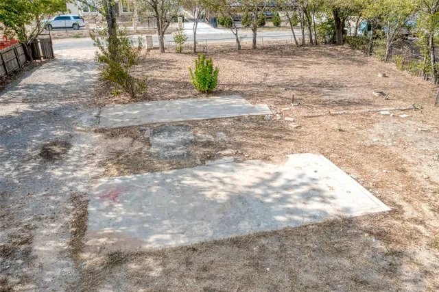 a view of a yard with plants and trees