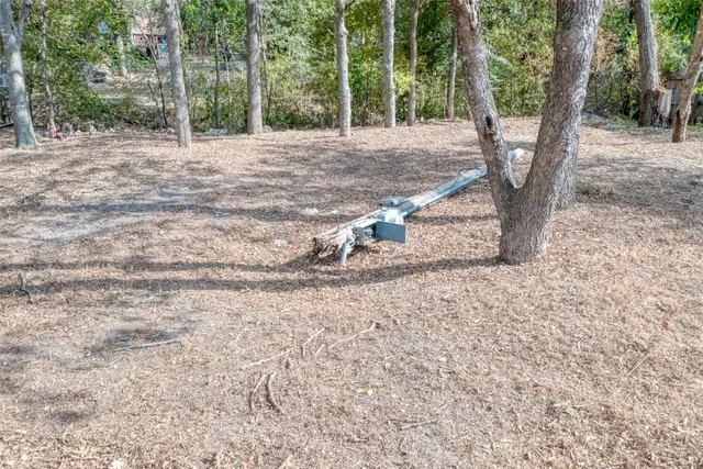 a view of a tree in the middle of a yard