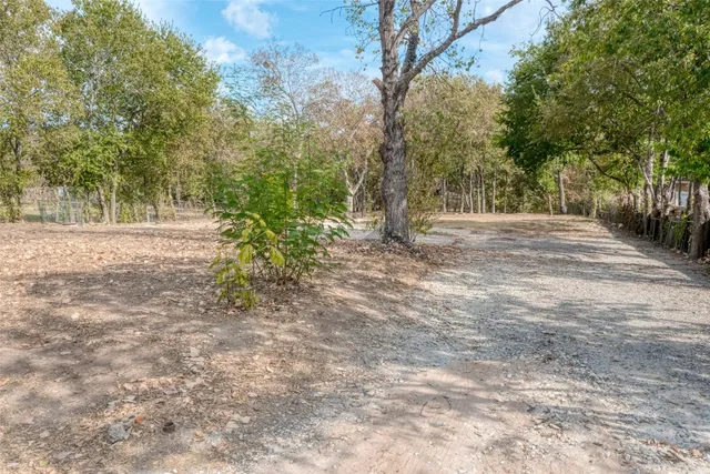 a view of dirt yard and trees