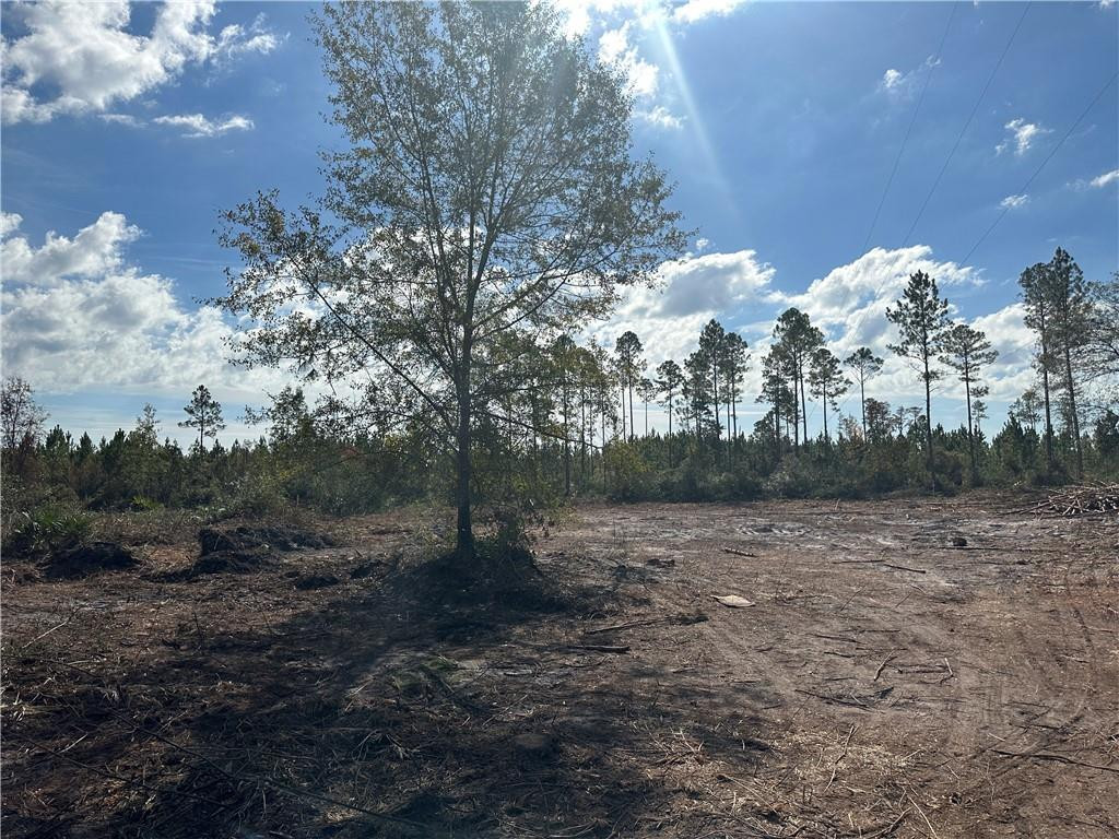2 Tv Tower Road, Unit LOT 2 Millwood, GA 31552 - Photo 1 of 1