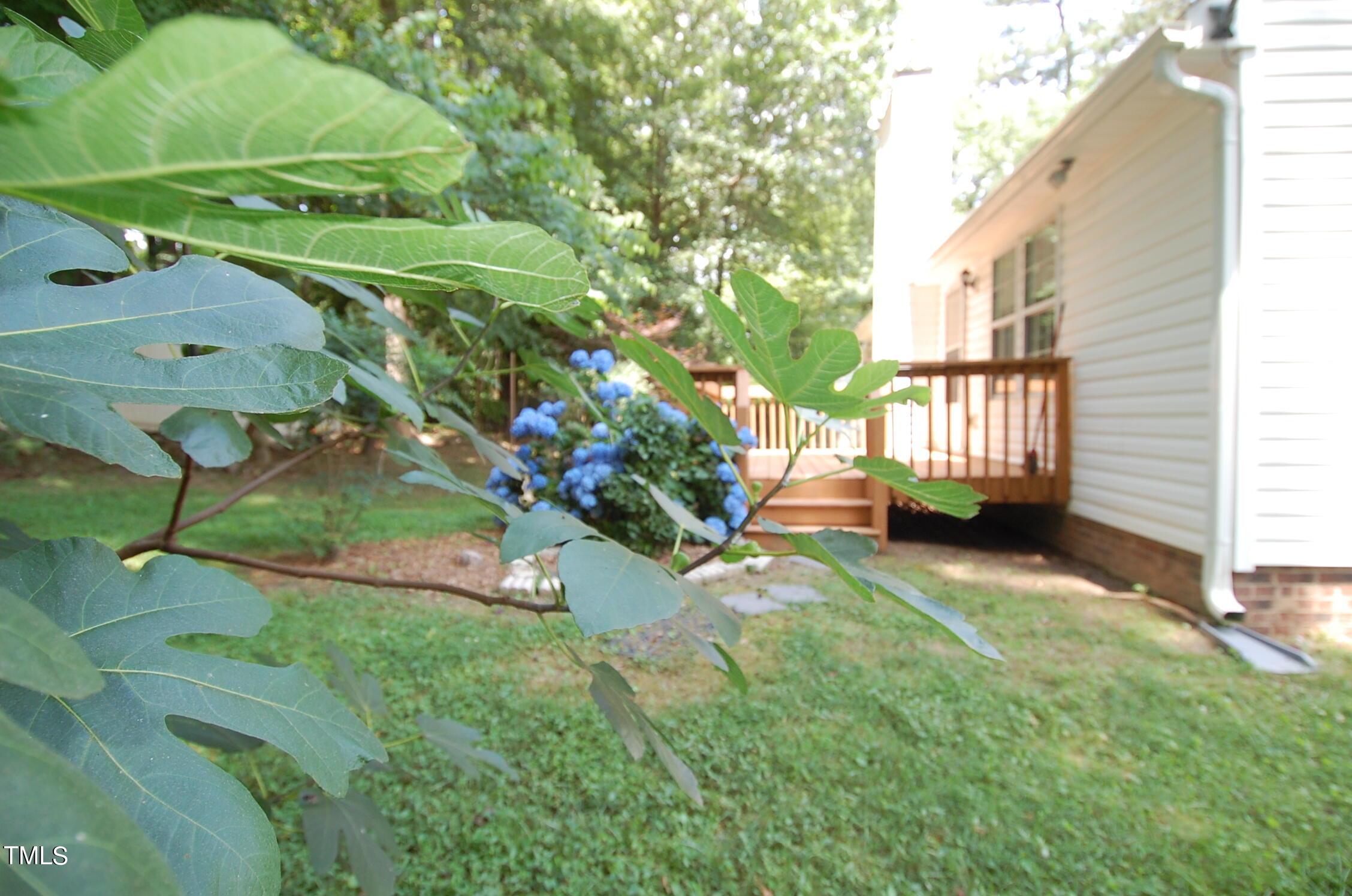7500 Solumbra Court Raleigh, NC 27616 - Photo 20 of 27 DSC_0159
