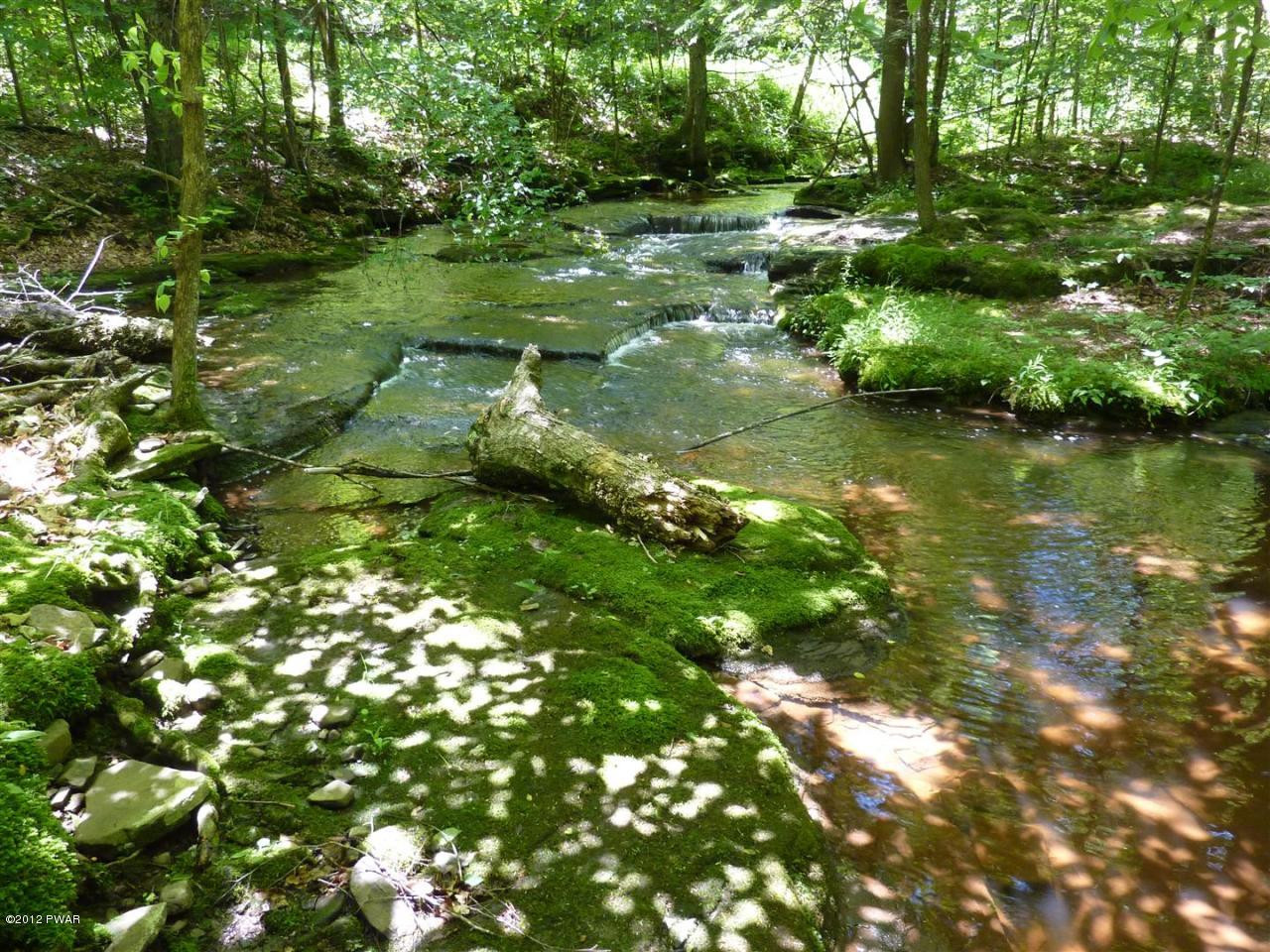 Lot 2 Layton Road Equinunk, PA 18417 - Photo 6 of 17