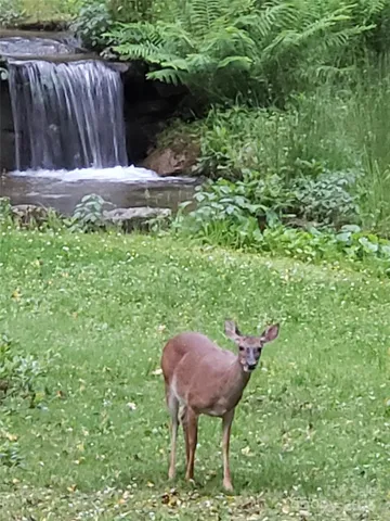 a kitchen with stainless steel appliances granite countertop a refrigerator a stove and a sink