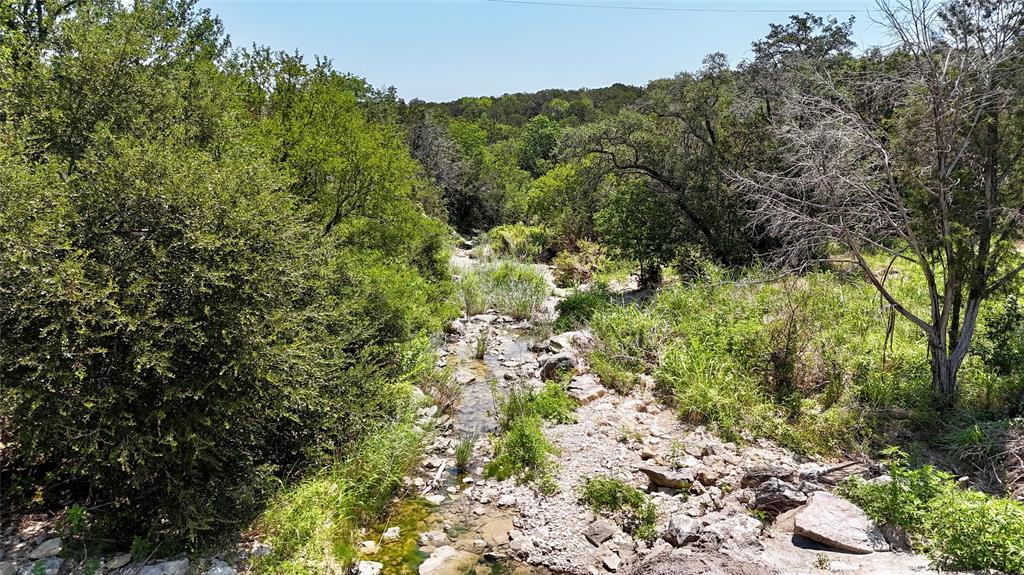 3000 Nech Ranch Court Granbury, TX 76048 - Photo 13 of 26 a view of a lush green forest with trees and flowers