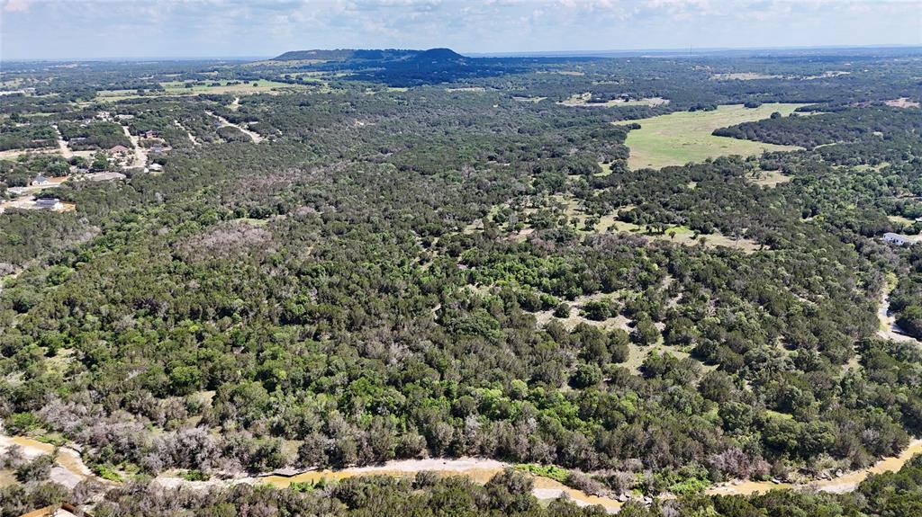 3000 Nech Ranch Court Granbury, TX 76048 - Photo 15 of 26 a view of a dry yard with wooden floor