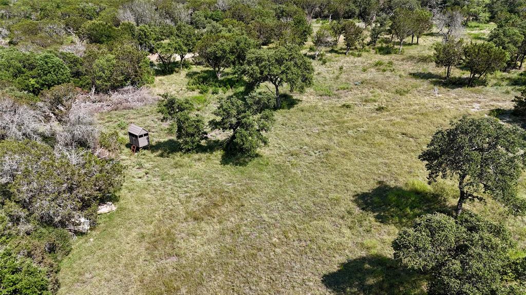 3000 Nech Ranch Court Granbury, TX 76048 - Photo 19 of 26 a view of a forest with trees