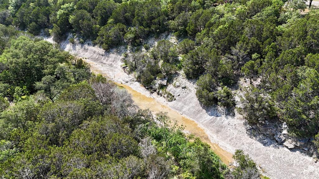 3000 Nech Ranch Court Granbury, TX 76048 - Photo 20 of 26 a view of a forest with trees in a background