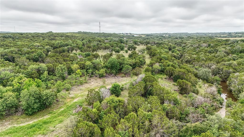 3000 Nech Ranch Court Granbury, TX 76048 - Photo 2 of 26 a view of a green field