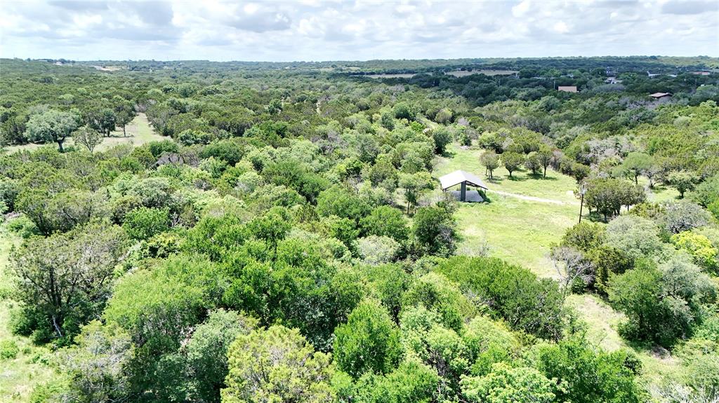 3000 Nech Ranch Court Granbury, TX 76048 - Photo 4 of 26 an aerial view of residential houses with outdoor space and trees